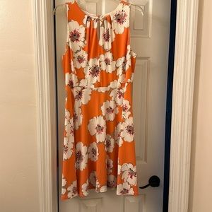 Ladies Dress